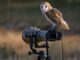 best-bird-watching-photography-header