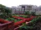 pune_india_urban-garden