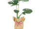 Monstera-Deliciosa-Hessian-Wrapped