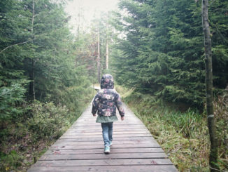 Child walking alone along a forest path