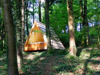 23_Lushna_Massive_glamping_wooden_cabin_pod_glass