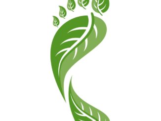 footprint-leaf-vector-1013243