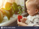 cute-little-caucasian-toddler-boy-with-mother-smiling-and-having-fun-holding-pot-with-planted-flower-near-window-sill-at-home-flower-and-nature-care-T4AAXB