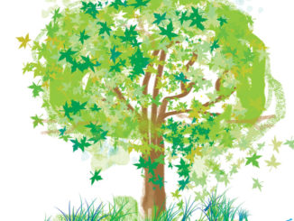 tree-of-life-illustration-credit-Sarah-Prentice-1024x1024