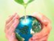 world-environment-day-concept-human-hands-holding-big-growth-plant-earth-globe-over-green-spring-background-tree-135280043